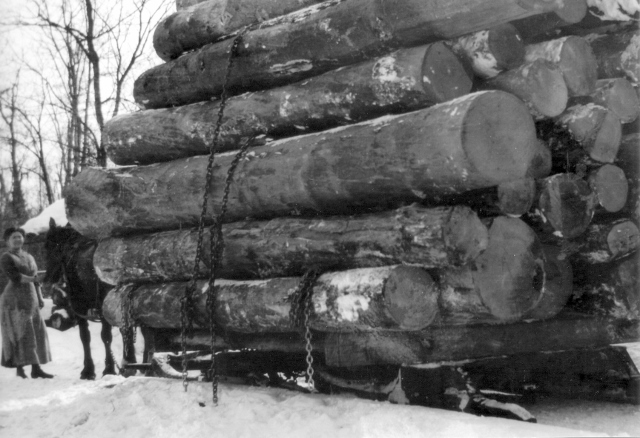 Logging operations in Schoolcraft County (1890's Photo)