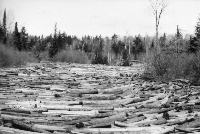Log Drive on the Manistique River (1890s Photo()