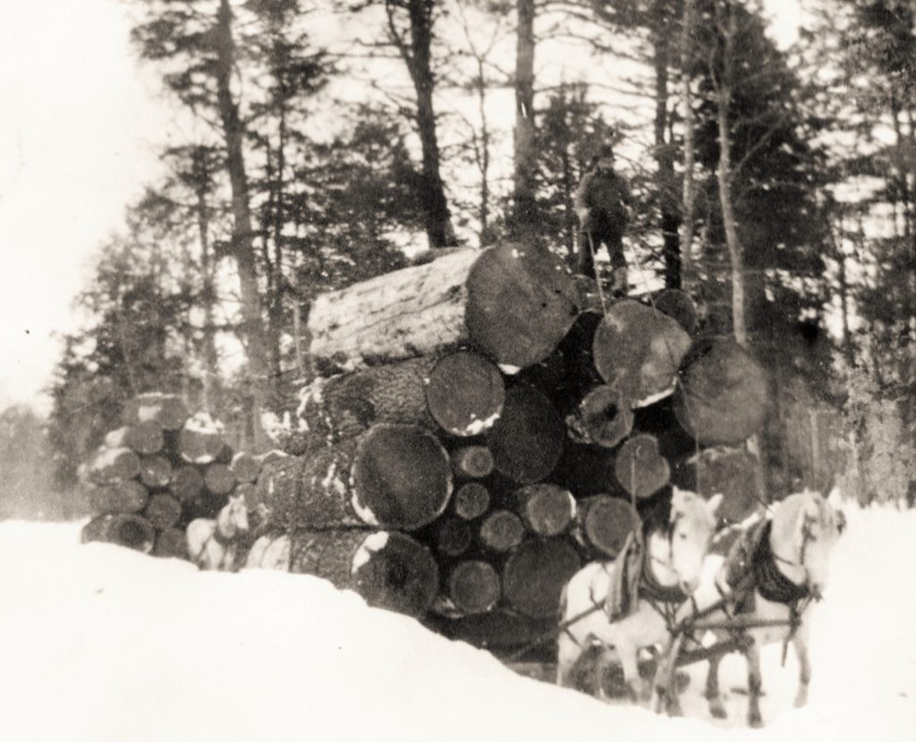 An early Schoolcraft Co. Logging Photo.  Edwin Cookson  worked as a teamster for both the Jamestown Company and  the Chicago Lumbering Company 